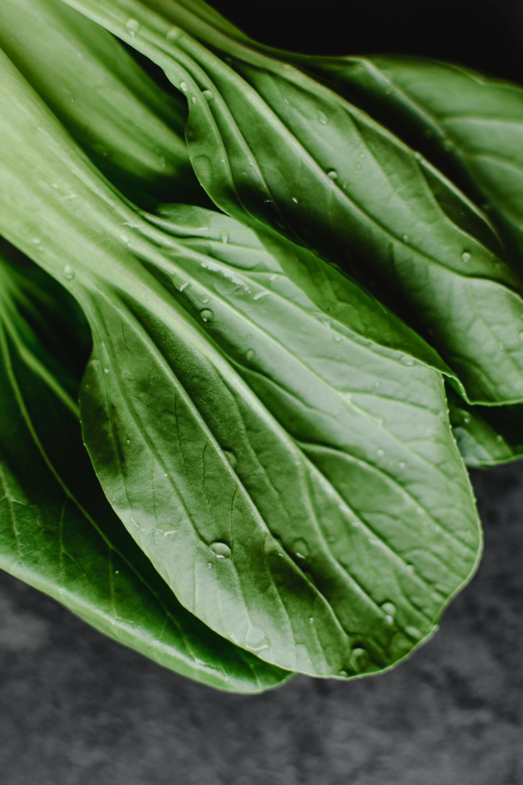 Close-up of fresh bok choy leaves with dew drops, emphasizing freshness and health.
